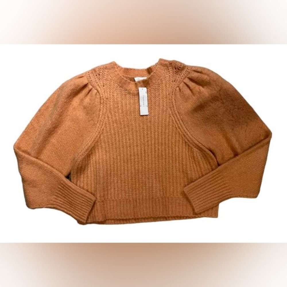 NEW Topshop Chunky Sweater Women’s Size 14 Pleated Sleeve Cropped Pullover Pink - Picture 1 of 9